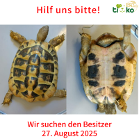 thumb_Fundtiere FB(66)
